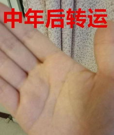 生肖虎：历经磨难终成伟业