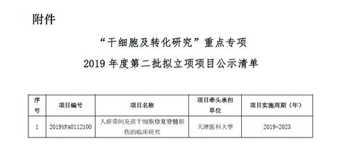 ：日常开销缺乏系统化规划的现象概述
