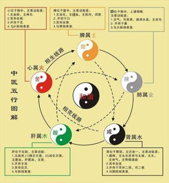 五行学说中，火属性究竟对应哪种独特的命格呢？