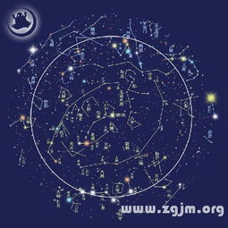 看八字时，有几个星宿参与算命？星宿在算命中扮演什么角色？