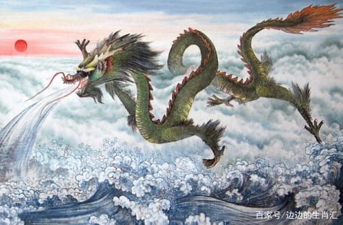 暴躁老龙的爱情过山车