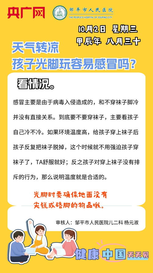 六、 国内外实践案例与探究发觉