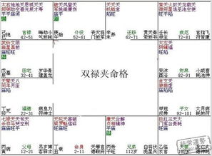 一、 化忌概念之名词化阐释
