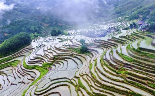 桃园概览：山海交错的迷宫