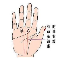 二、  竖直纹路与玉柱文笔象征体系下的才华与事业升迁