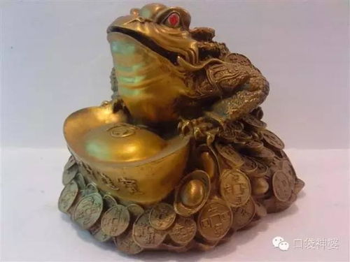 2. 金蟾：吐财纳福的动态平衡