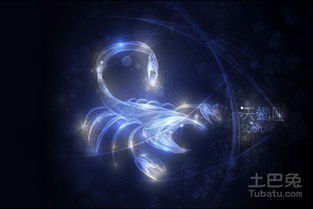 属鼠的天蝎座男生性格特点如何？优缺点有哪些？