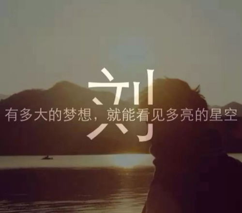 语言艺术创作的精妙诠释：谐音双关与姓氏融合