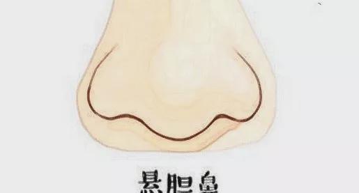 3. 驼峰鼻：气场强大但需注重内外兼修