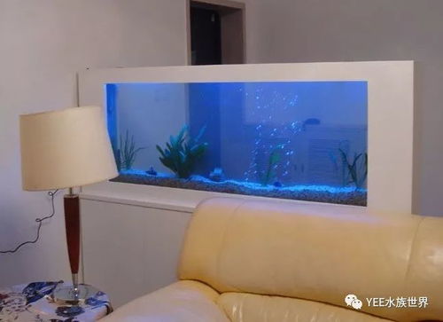 现代科学验证风水