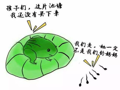 4. 避免“撞车”