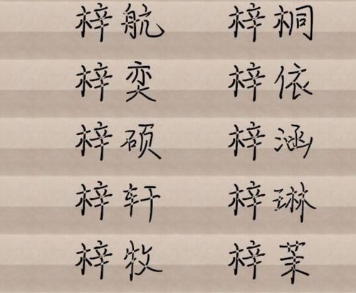 避免“烂大街”的名字：要有独特性