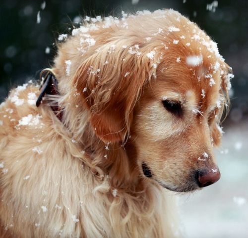 终极选购秘籍！一般人我不告诉TA！