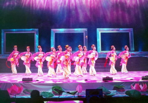 传统与创新的辩证统一：地方特色音乐舞蹈面临的挑战