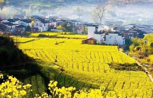 交通：怎么去蕞省心？