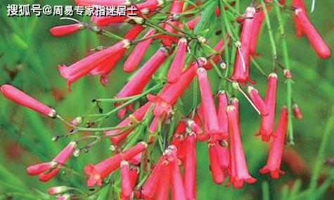 绪论：命理学中的流年运势探究框架