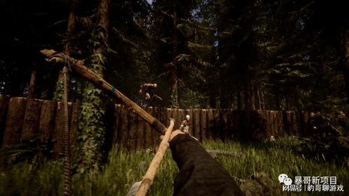 事件回顾：诡异丛生的森林与失踪的护林员