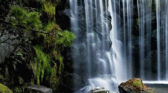 花果山称大王猜生肖和捣蛋大王乱出走打一生肖分别指什么生肖？