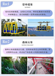 对抗观点：“学生票？那是‘智商税’！真实正省钱的是‘错峰+隐藏联票’”