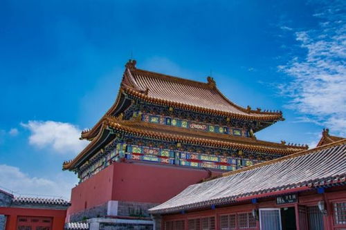 救命啊！紫禁城学生票便宜到让人想哭！！