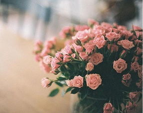 二、 风水学视角下的“桃花位”定位原则