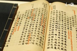 历史持续发展典故考量