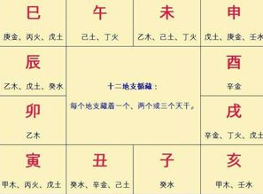 一、 “无根”状态的界定及其命理内涵