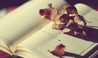 二、  和合术的功能界定与社会适用性