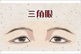 ：面相学的历史渊源与实验探讨