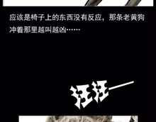 ：关于“夫妻相”现象的形而上学解读与镜面风水学的关联性探究