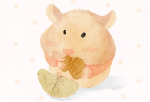 属虎和属鼠的财运如何？96年属鼠和98年属虎是否相配？