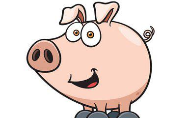 五福生肖具体包括哪几个生肖？