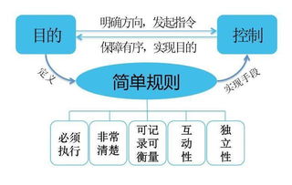 网络传播与学术价值