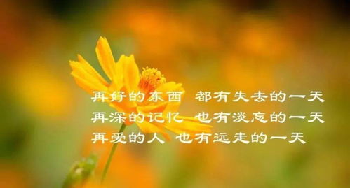 八字配适性及命理考量