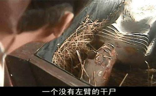 研究背景与问题提出