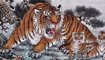 龙虎风云打一生肖，究竟对应哪个生肖呢？