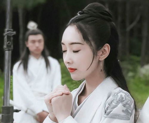 《陈情令》中天秤摩羯姑苏蓝氏角色是哪个星座的？