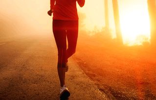 一、 理论依据：生肖属性、阴阳时序与生理节律的交叉检验