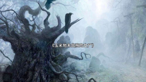 1.2  异闻事件引发の歧义:当