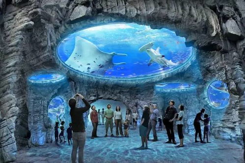 2026年最坑爹项目预测榜