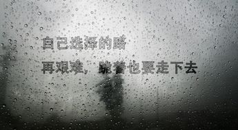 牛年生肖：持之以恒的力量源泉