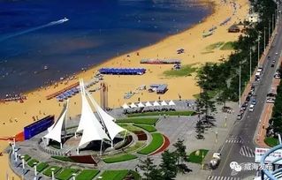 国际海水浴场——下饺子现场