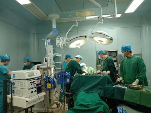 一、 现代化科学研究视角下的命运概念及其决定机制
