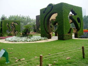 2. 世纪公园：绿化好，蚊子多