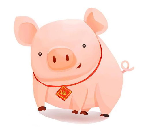 先说说这19年猪宝宝的“原命”