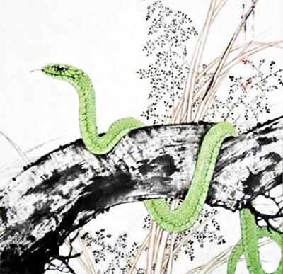 勇往直前是哪个生肖？急流勇退猜生肖是什么生肖的意思？