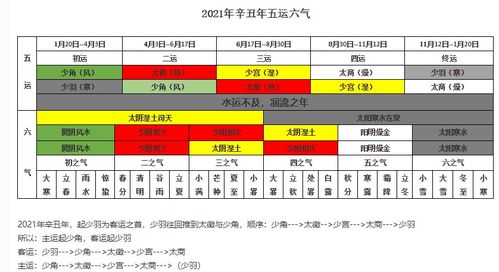 运势走向及人生阶段分析