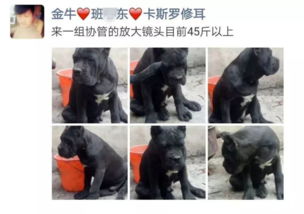 法律制度法规争议