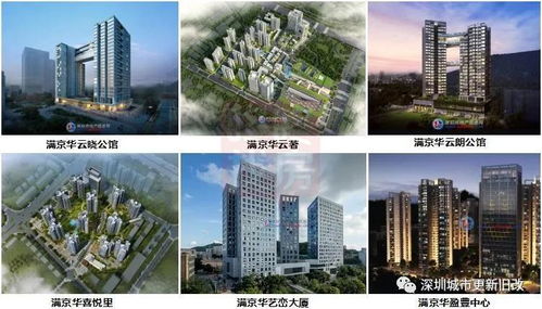 概论：低价楼盘的潜在风险与风水学视角的交叉分析