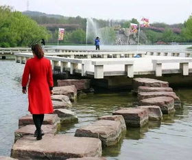 现场实况：人类大型迷惑行为大赏